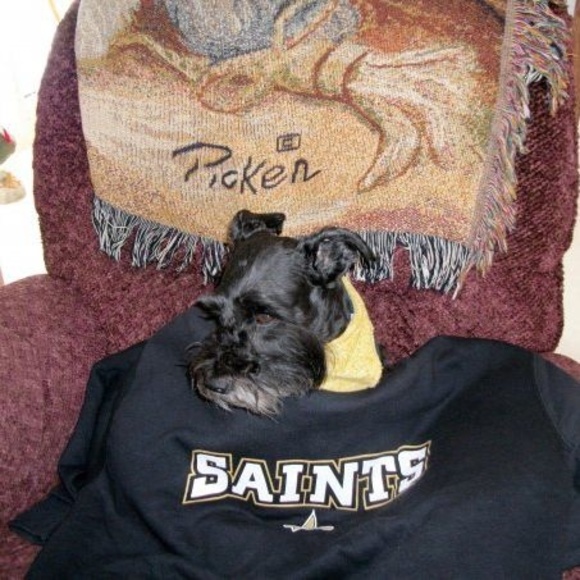 Meet your Posher, John - Picture 1 of 1